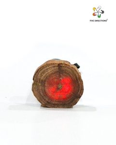 Raja Kayu Energy Wood Malaysia | Five Directions
